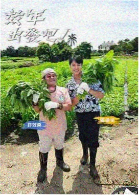 观众讨论现场示意